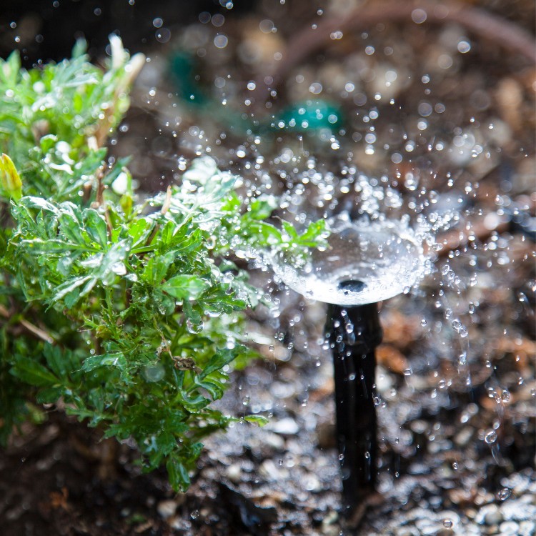 Landscaping in Leander, TX Landscaping in Leander, TX