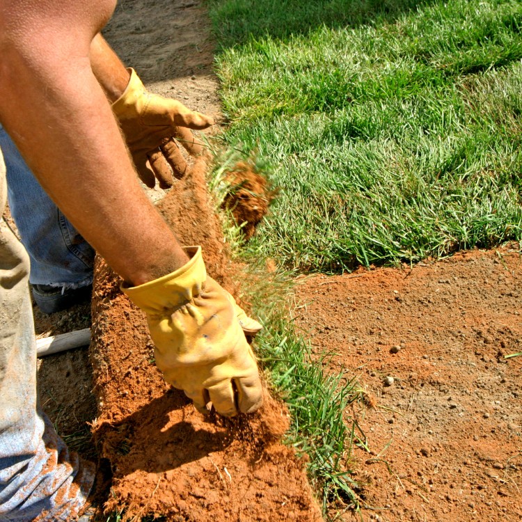 Landscaping in Leander, TX Landscaping in Leander, TX