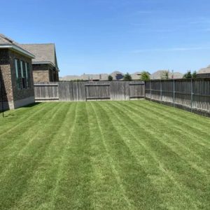 Landscaping in Leander, TX