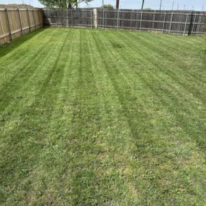 Landscaping in Leander, TX