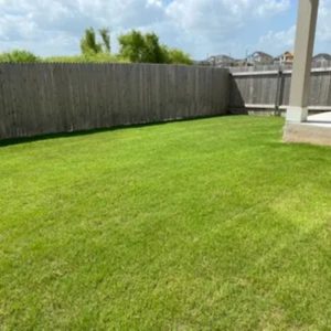 Landscaping in Leander, TX